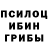 Псилоцибиновые грибы Magic Shrooms Barmaleev Barmaley