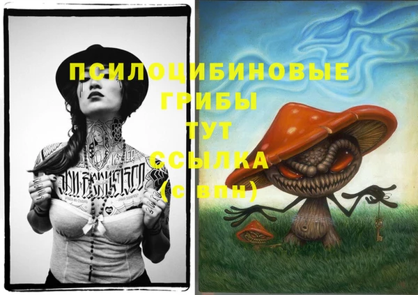 2c-b Белоозёрский