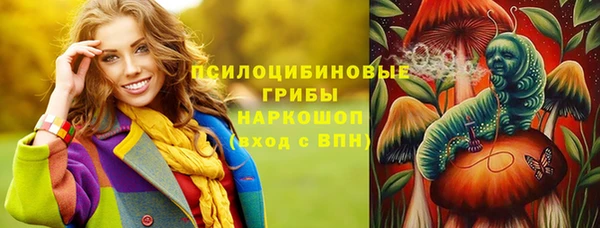 PSILOCYBIN Беломорск