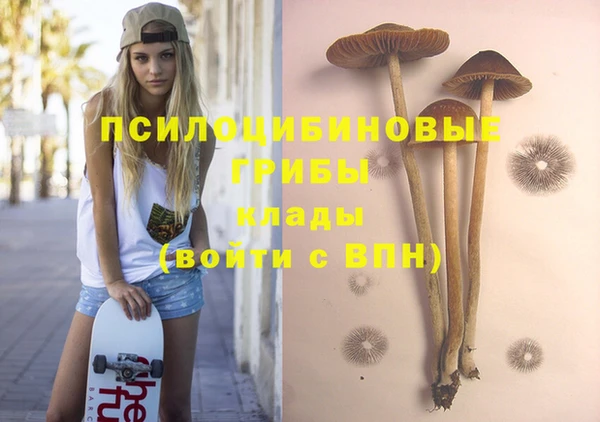 не бодяженный Белокуриха
