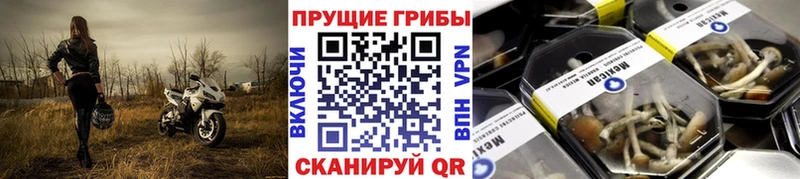Псилоцибиновые грибы ЛСД  продажа наркотиков  Гремячинск 